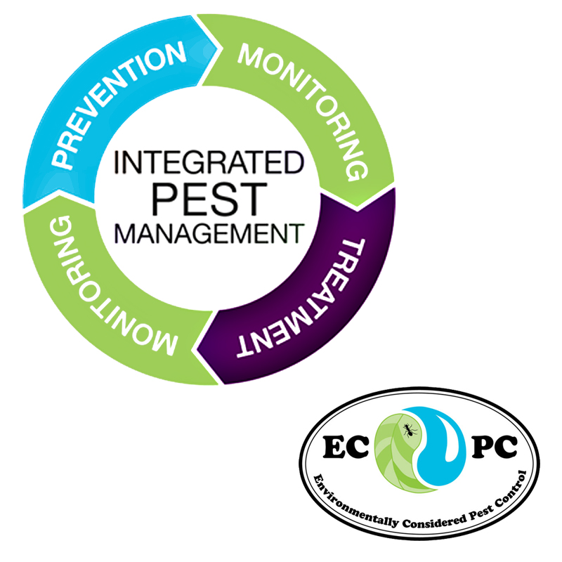 Environmentally Considered Pest Control Ecpc For Short